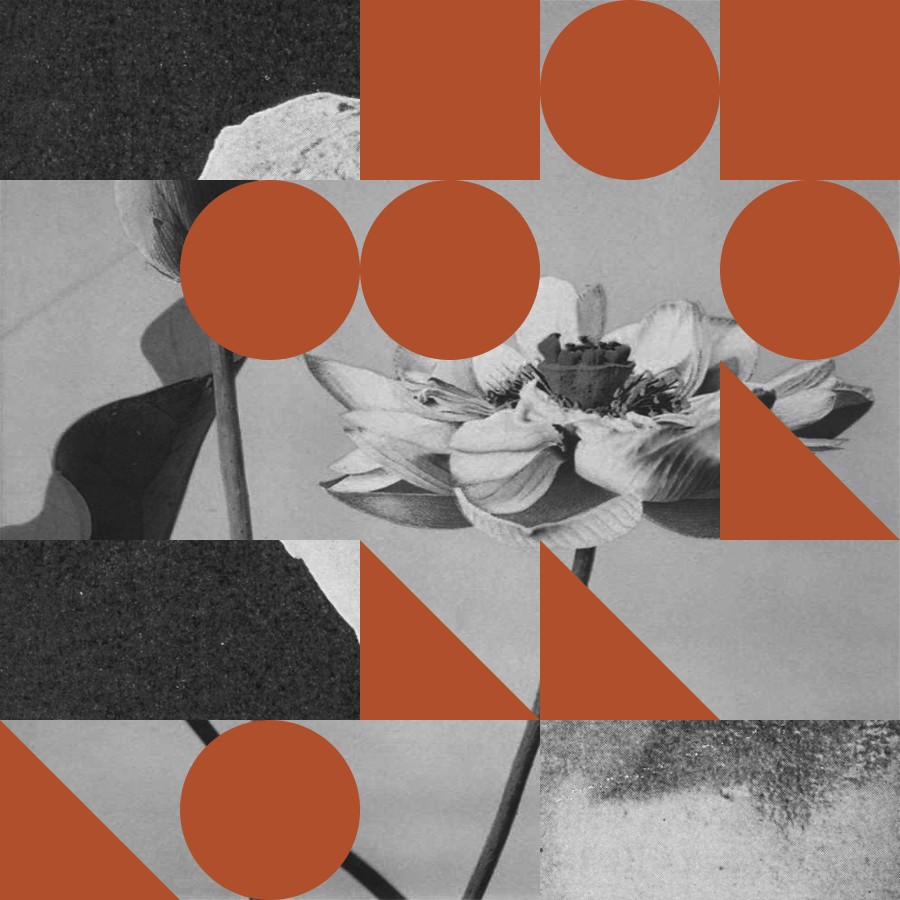 Grid Image Collage